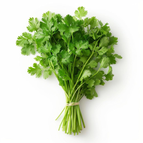 Fresh Coriander Bundle