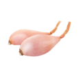 shallot